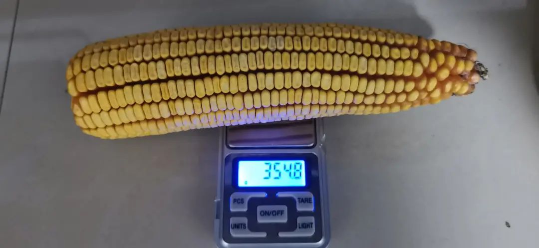 1645580361382291.jpg 1645580361382291.jpg