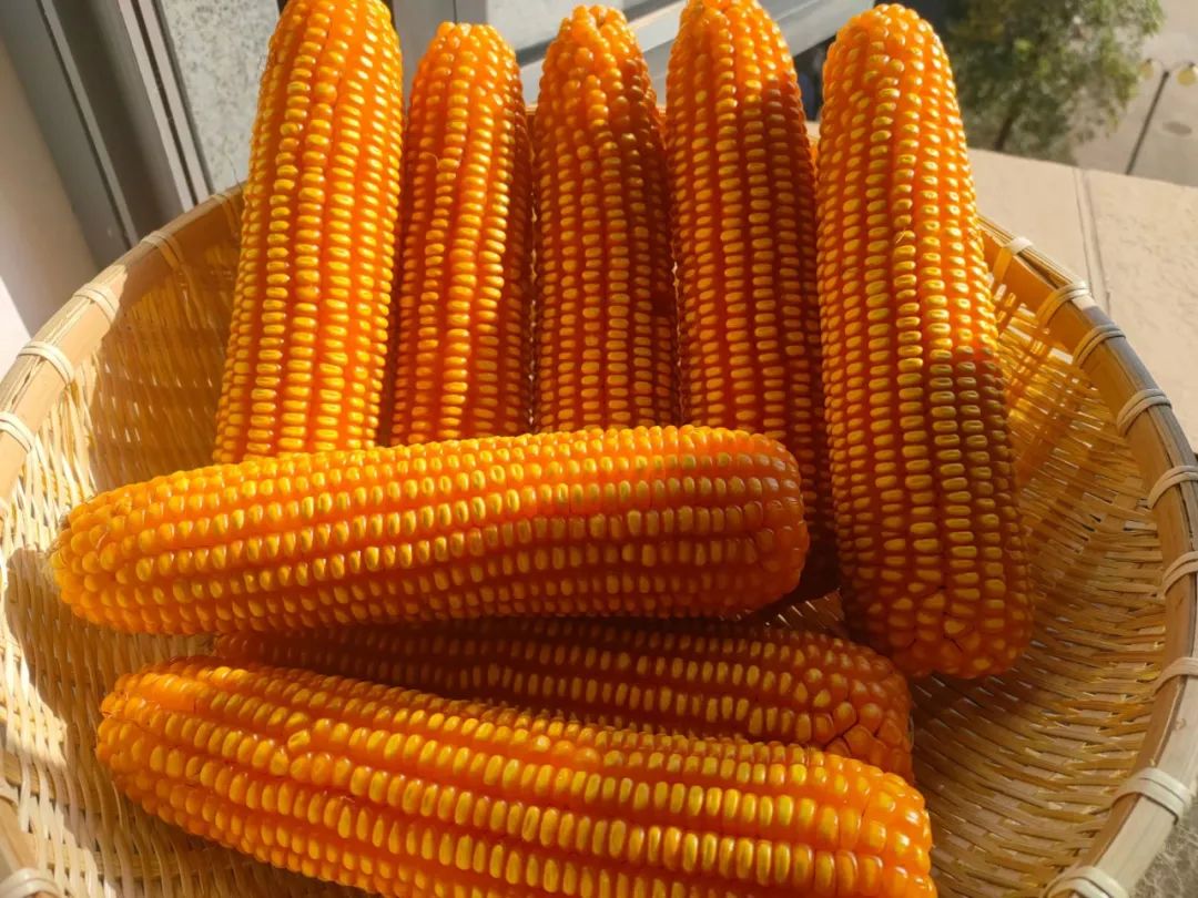 1647589833423723.jpg 12.jpg