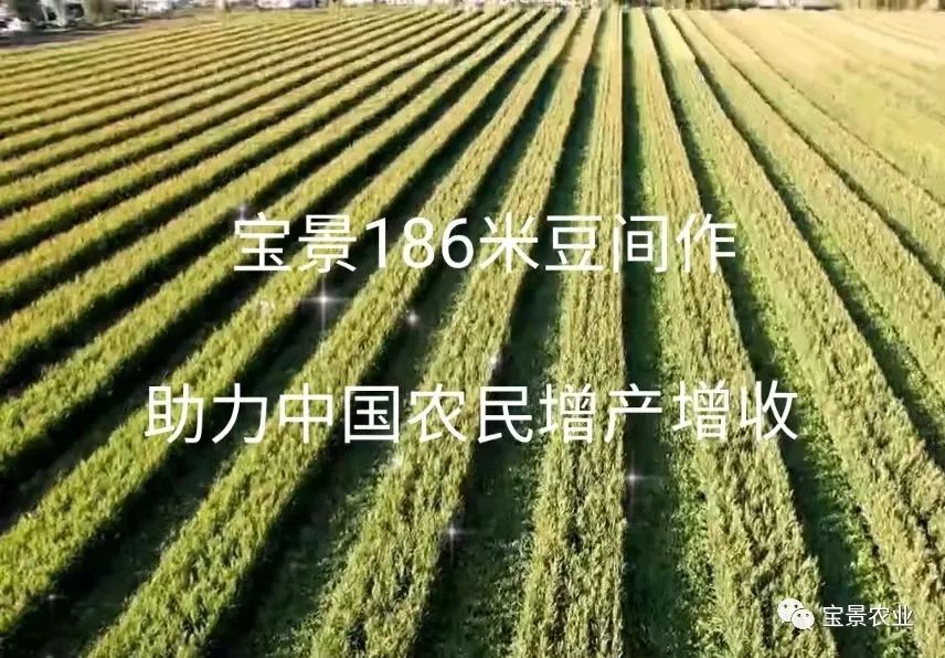 1648796987647649.jpg 01.jpg