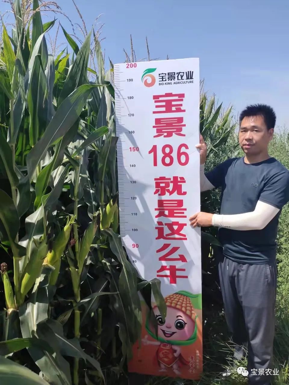 1648797233235253.jpg 07.jpg