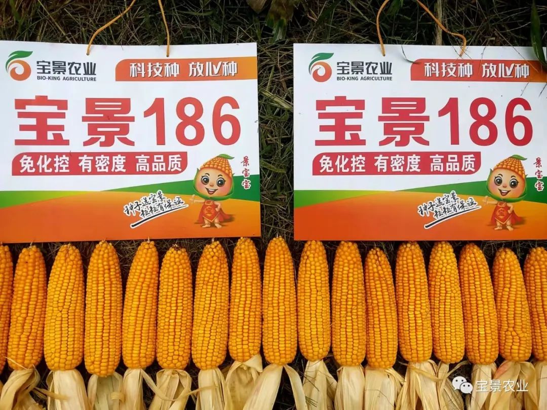 1648797404387782.jpg 16.jpg