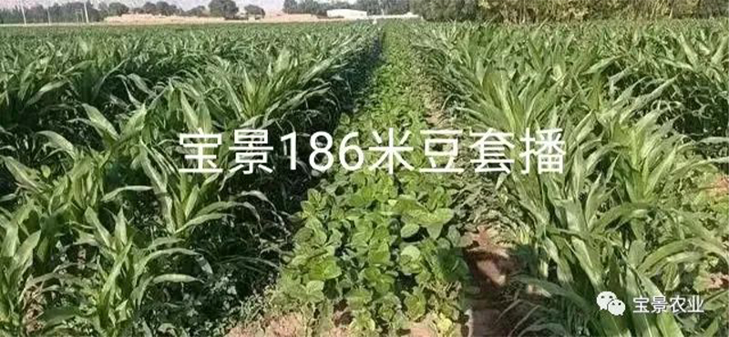 1648797724496582.jpg 02-01.jpg