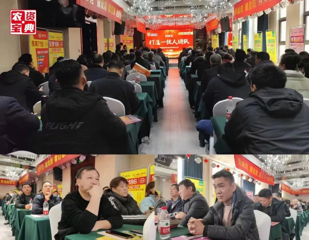 1677808011236686.jpg 1.jpg