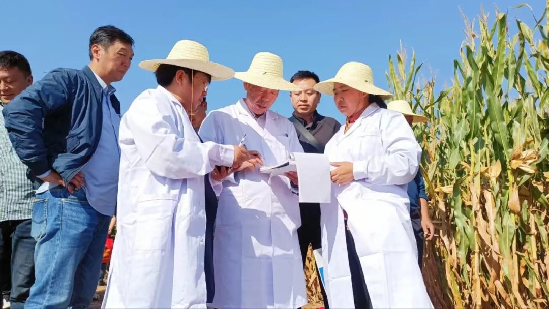 1697508975345084.jpg 640.jpg