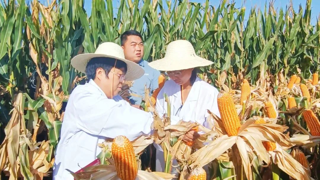 1697509008354741.jpg 640.jpg