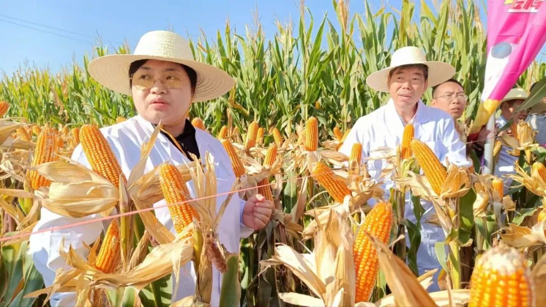 1697509045592456.jpg 640.jpg