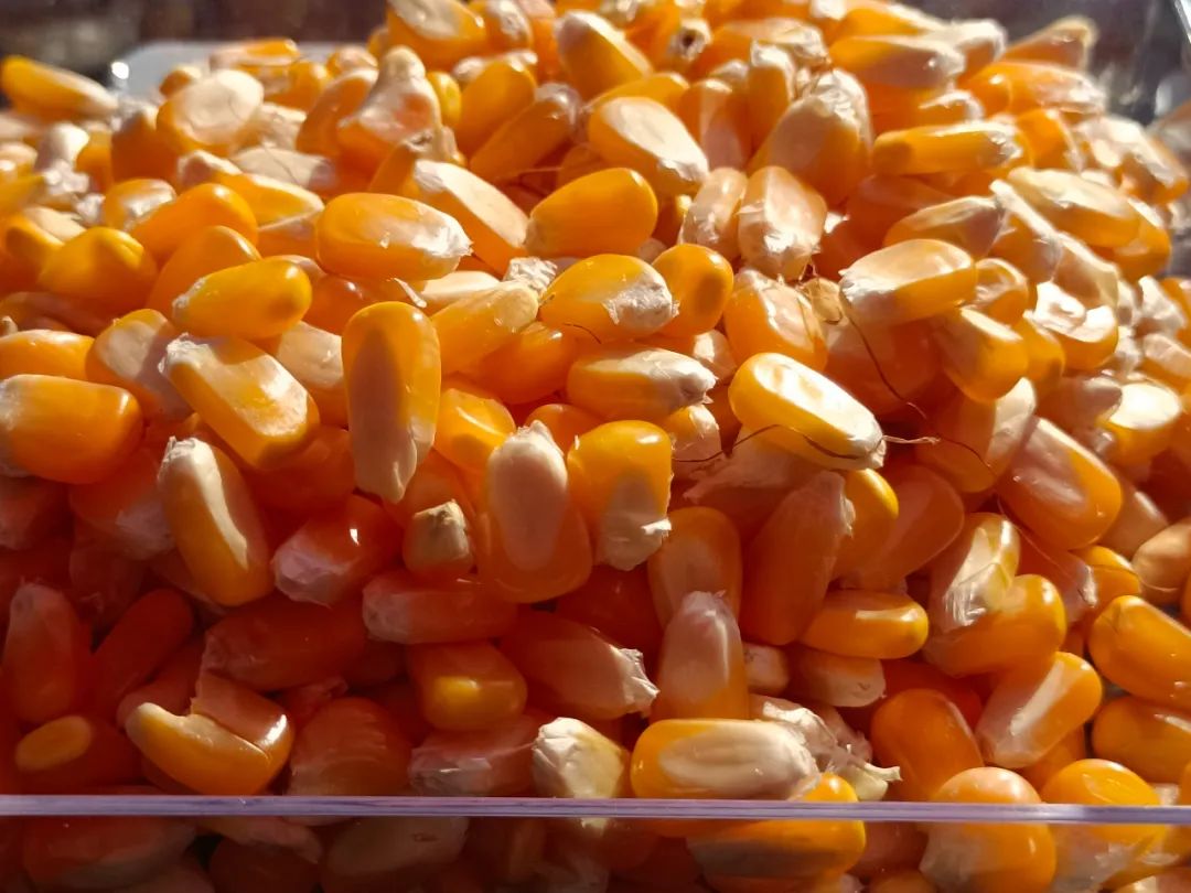 1697509061190707.jpg 640.jpg